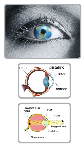 apparato-visivo